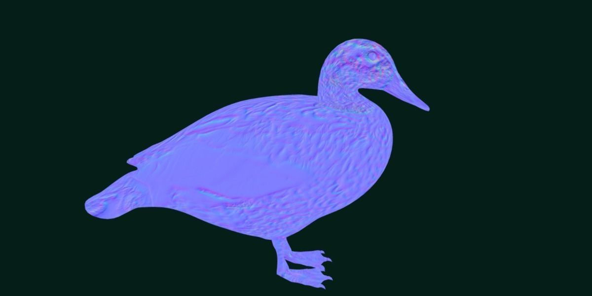 Laysan Teal Duck Bird 3D model_18