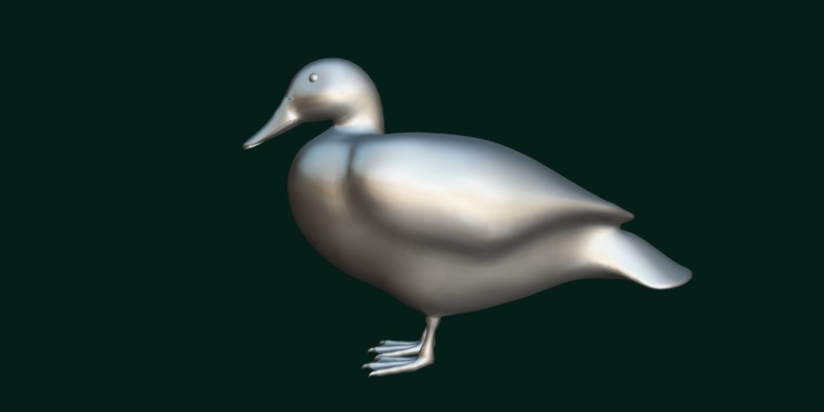 Laysan Teal Duck Bird 3D model_21