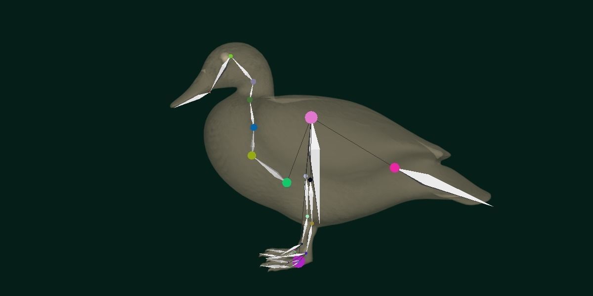 Laysan Teal Duck Bird 3D model_9