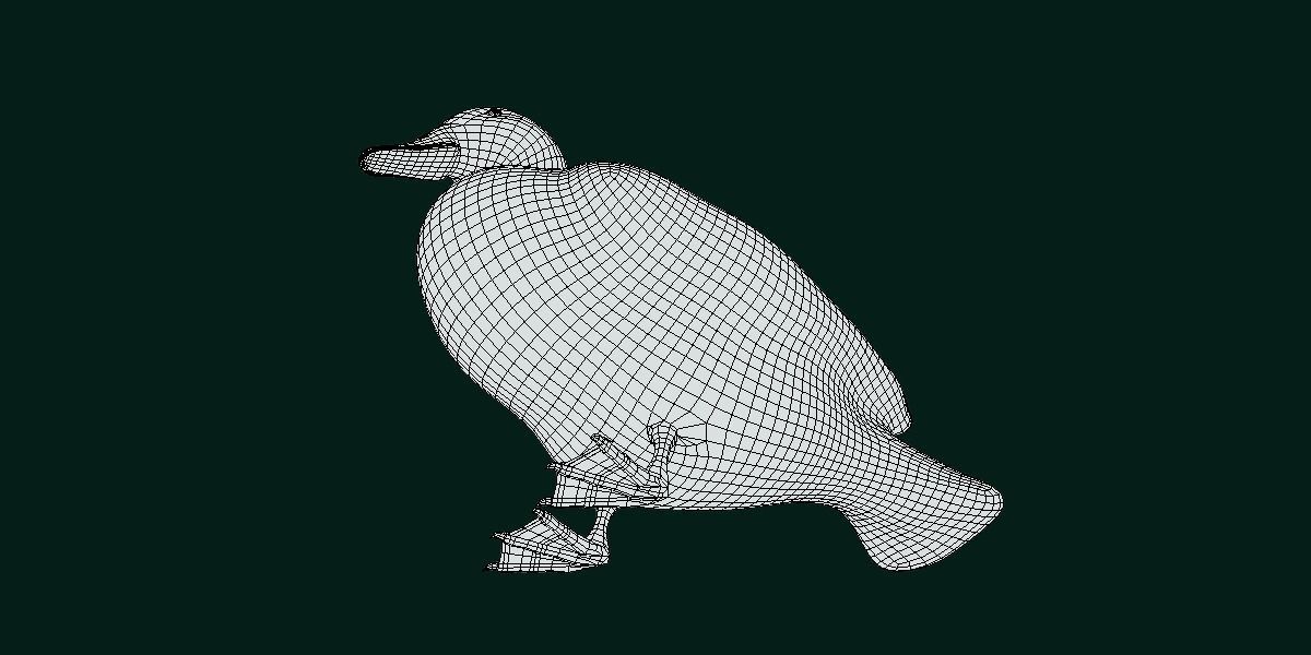Laysan Teal Duck Bird 3D model_11