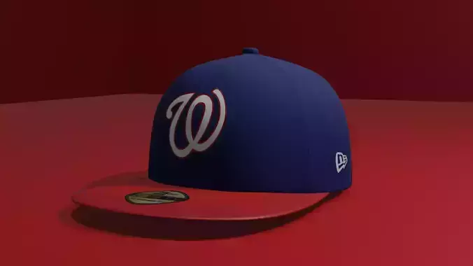 Washington Nationals Baseball Hat