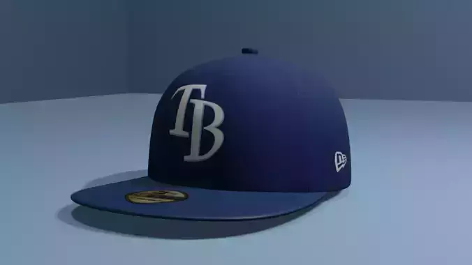 Tampa Bay Rays Baseball Hat