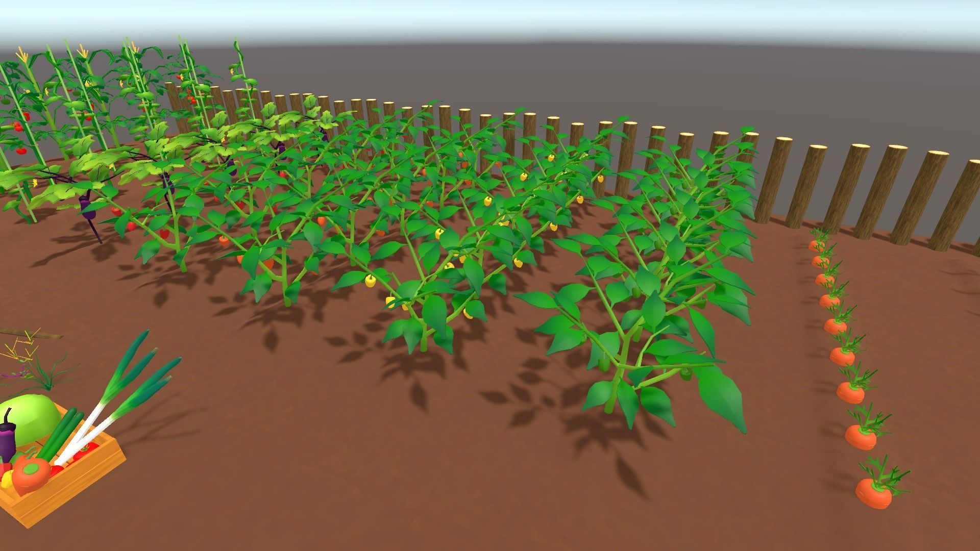 Summer Vegetable Field Set Low-poly 3D model_13