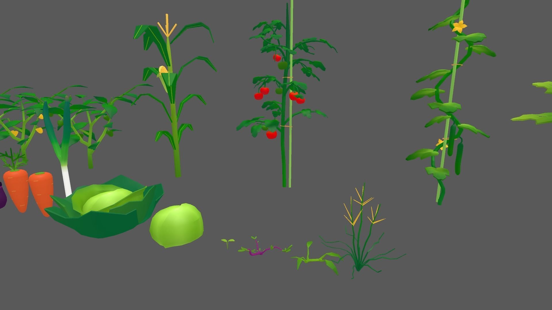 Summer Vegetable Field Set Low-poly 3D model_2