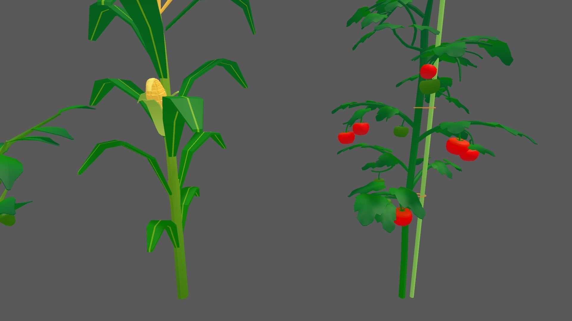 Summer Vegetable Field Set Low-poly 3D model_7