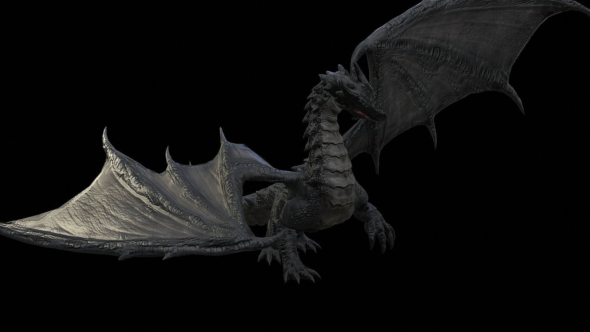 Dragon Collection  _24