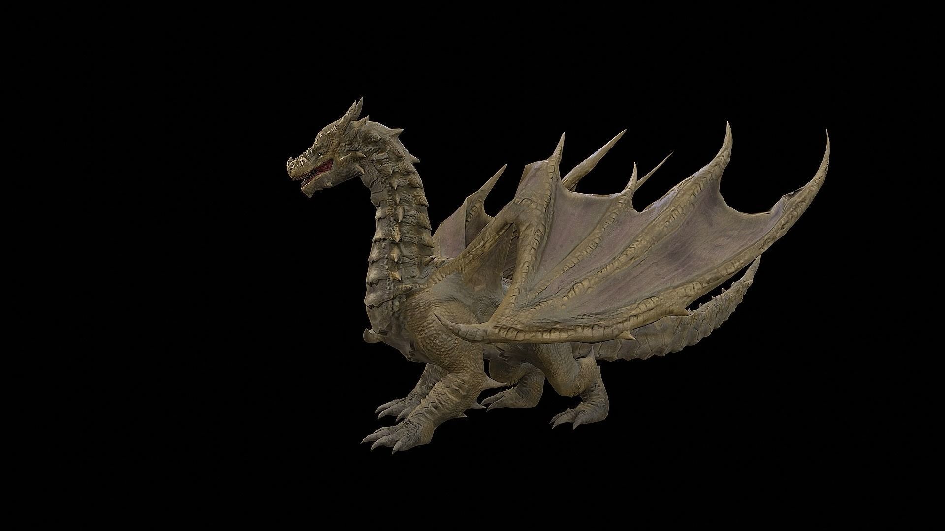 Dragon Collection  _23