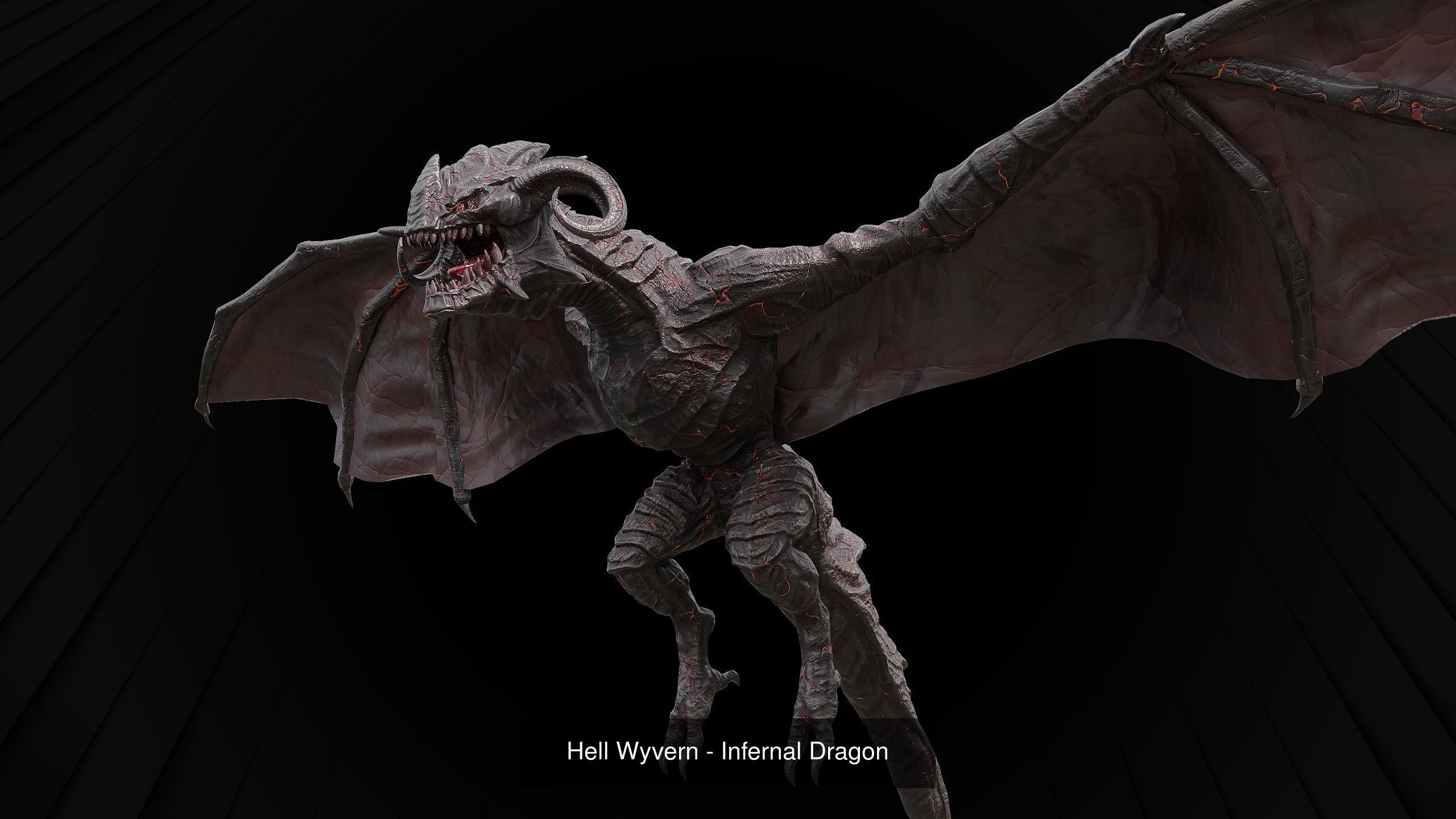 Dragon Collection  _11