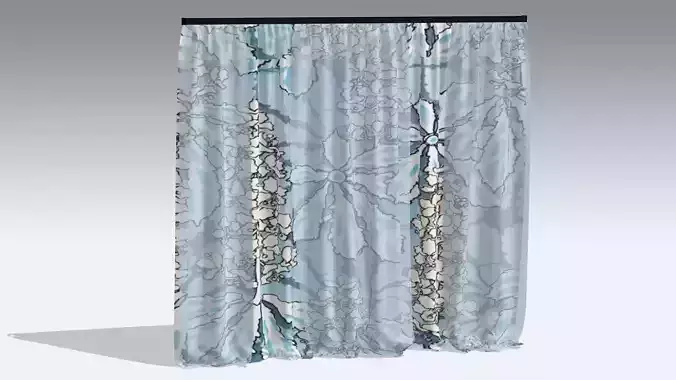 Curtain