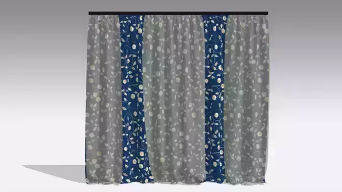 Curtain