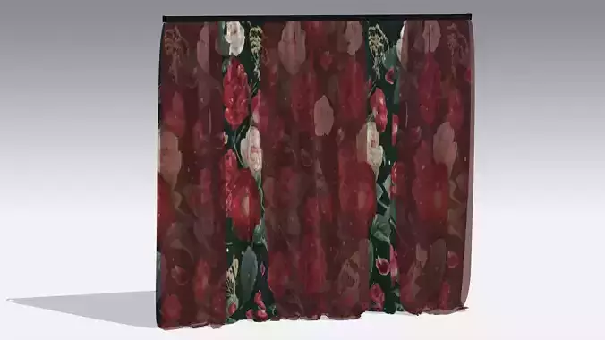 Curtain