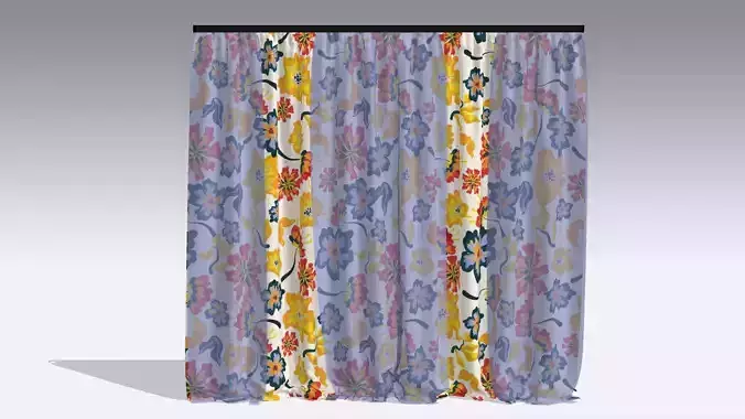 Curtain