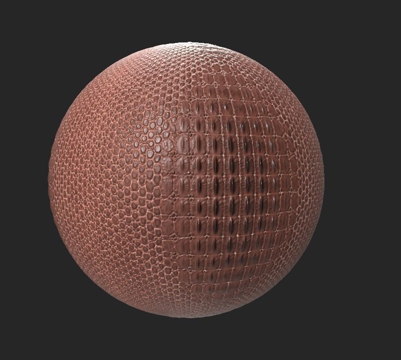 crocodile back leather 3D model_2