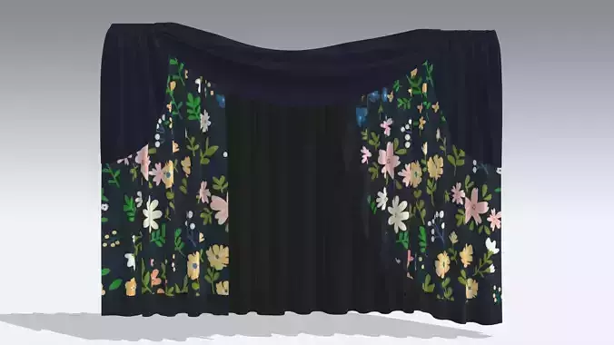 Curtain