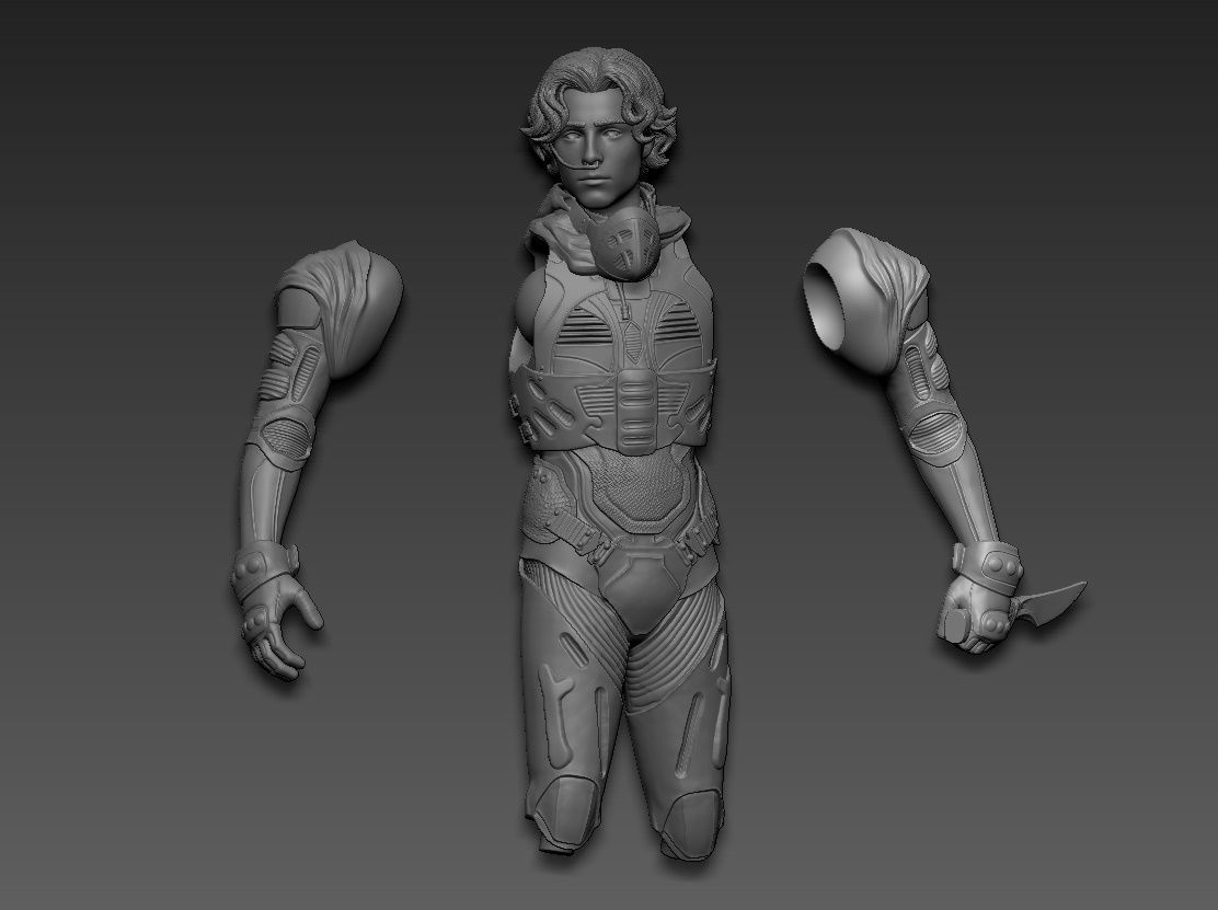 Paul Atreides Dune 3D print model_28