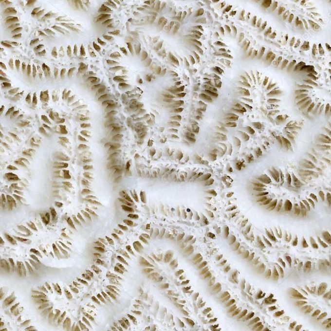 Living Room and Kitchen Scene 3D model_69