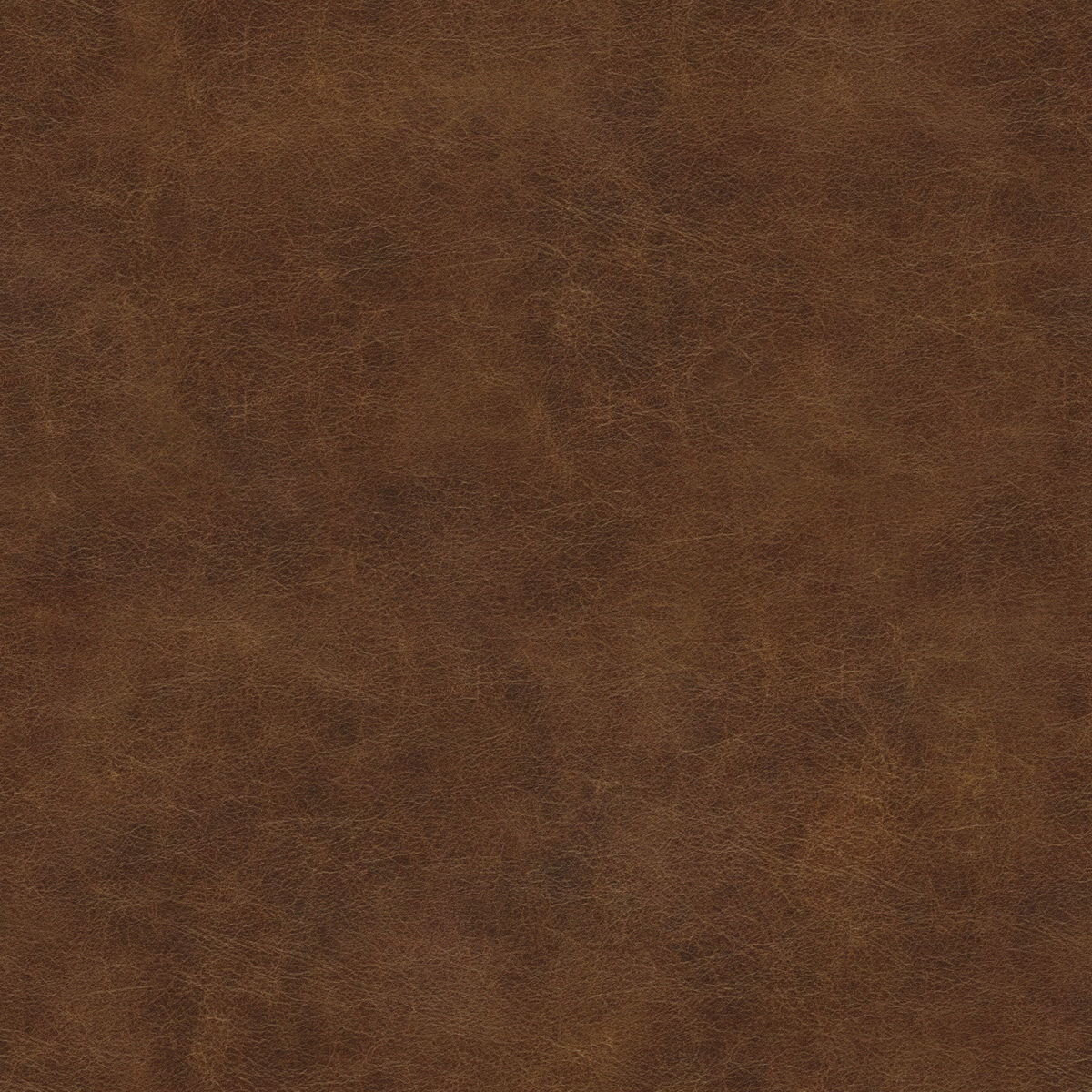 Living Room and Kitchen Scene 3D model_17