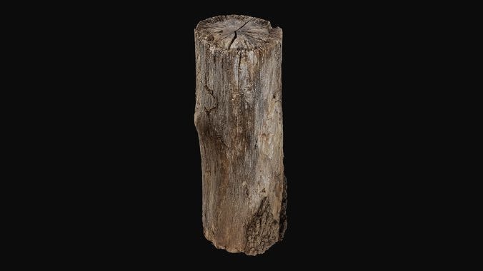Old Tree Log 01 - HeraScans Low-poly 3D model