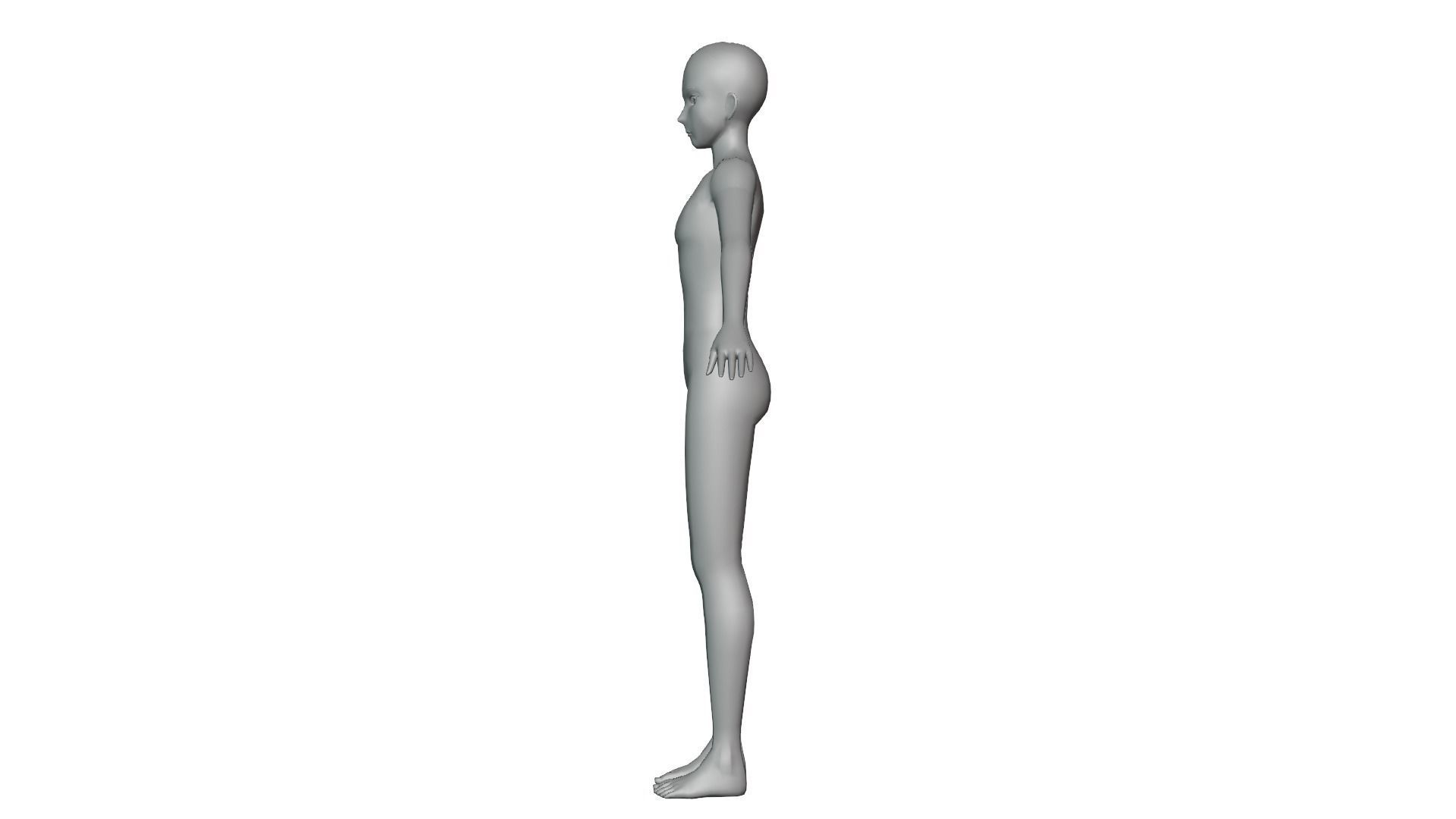 Anime Male Base Model V1 Low-poly 3D model_29