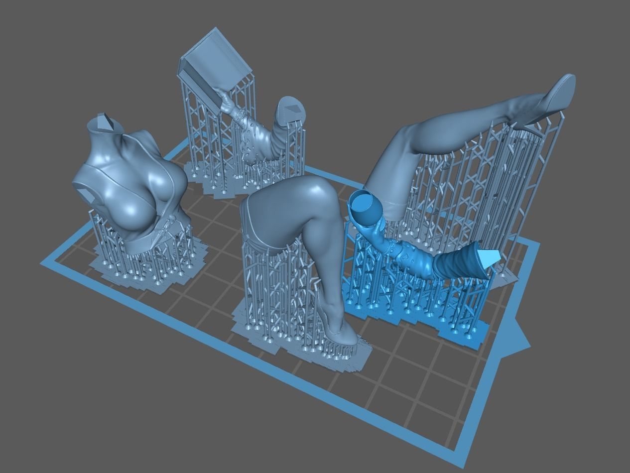 Elvira 3D print model_10