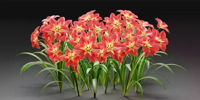 Amaryllis flowers vol 128-Blender 3D model