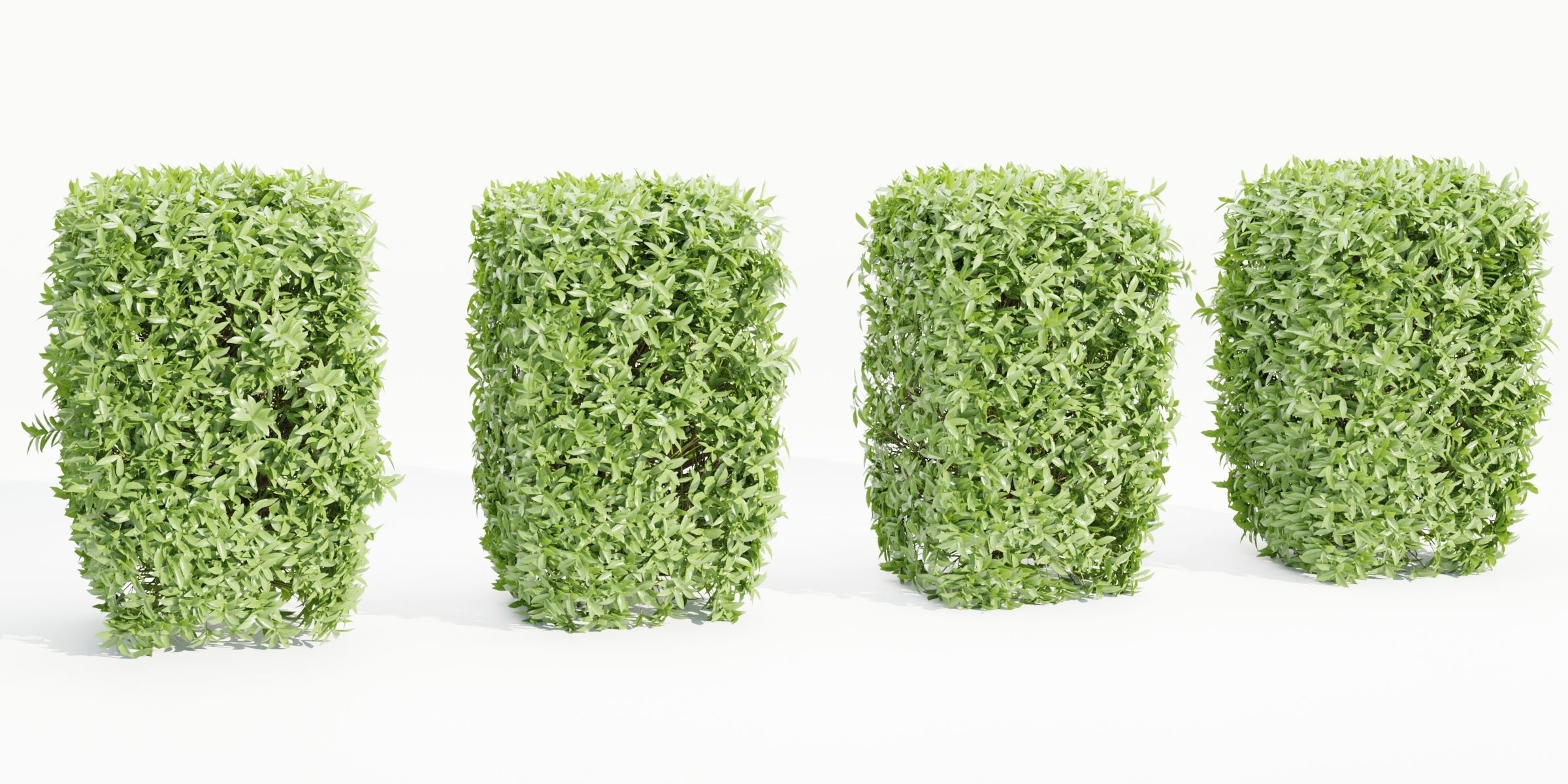 Laurel Hedging Bushes collection vol 129-Blender 3D model_1