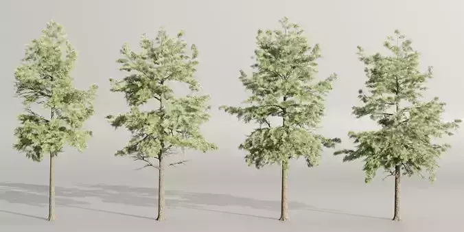 Conifer trees collection vol 130-Blender