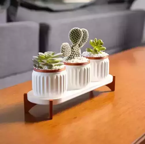 succulent vase set decoration kit