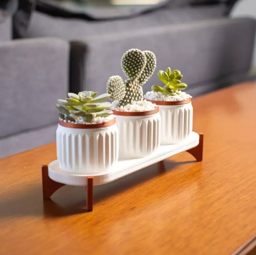 succulent vase set decoration kit 3D print model_0