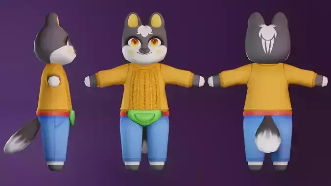 Cute raccoon model