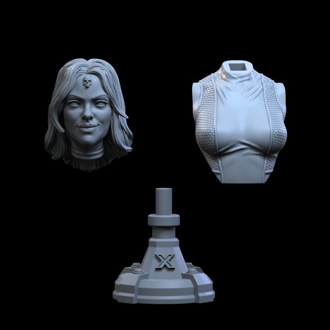 X-Men 14 Epic 3D Busts  STL Pack  Discount Use code XMEN20 3D print model_28