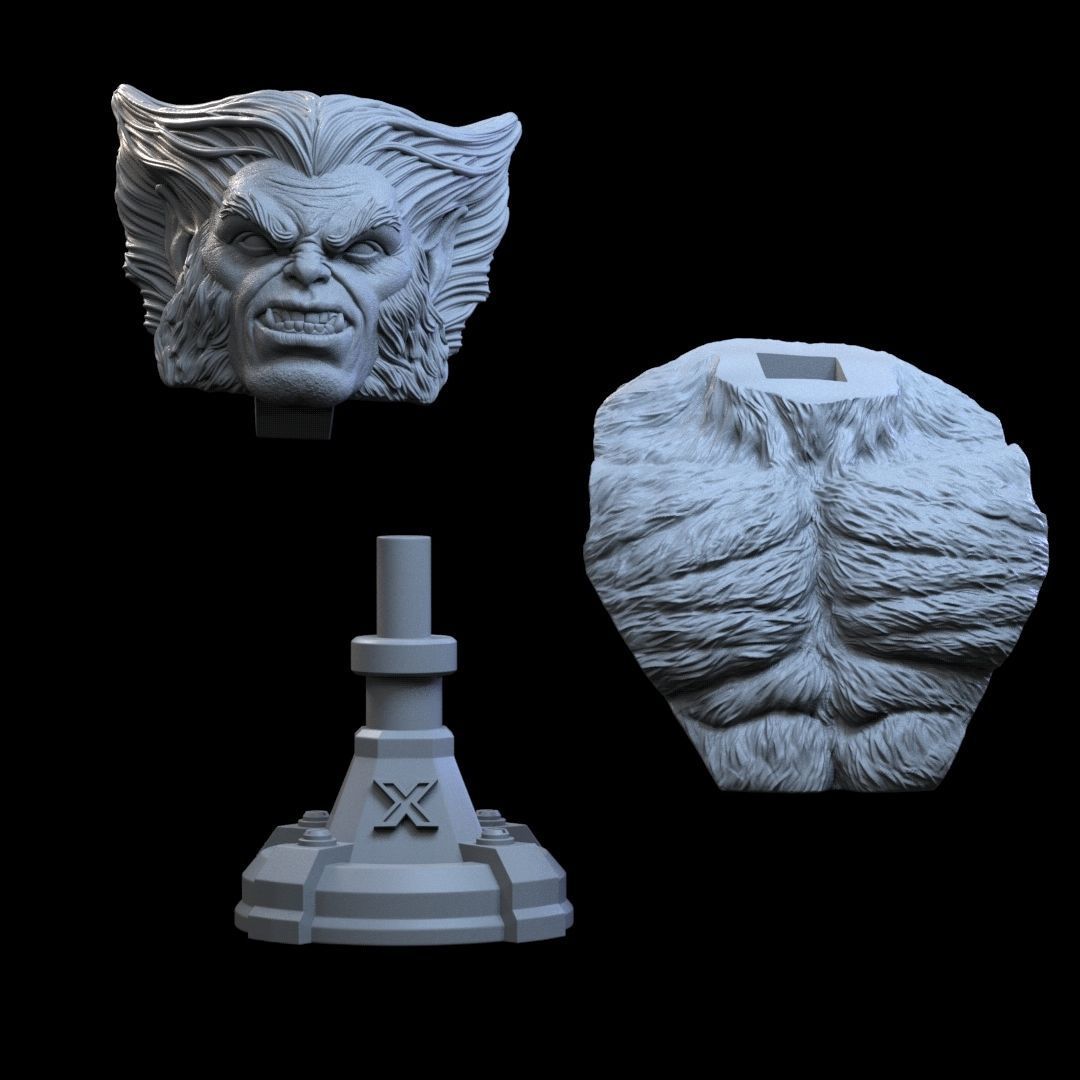 X-Men 14 Epic 3D Busts  STL Pack  Discount Use code XMEN20 3D print model_22