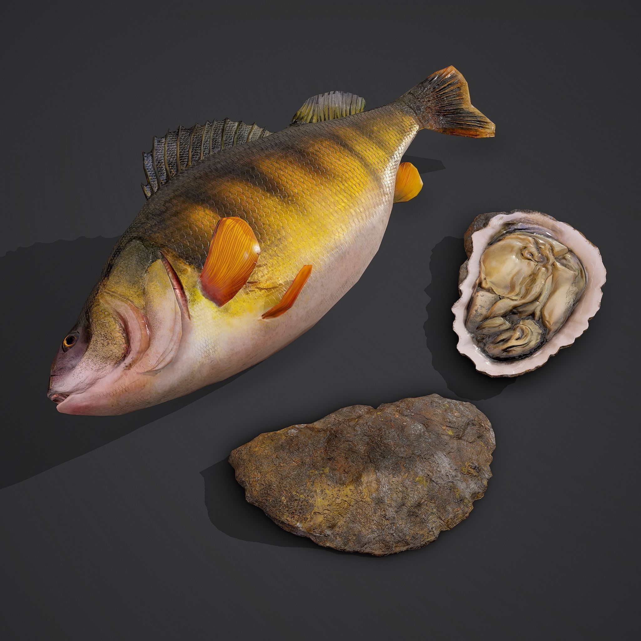 High Quality Medieval Props Pack 3D Model Collection_217