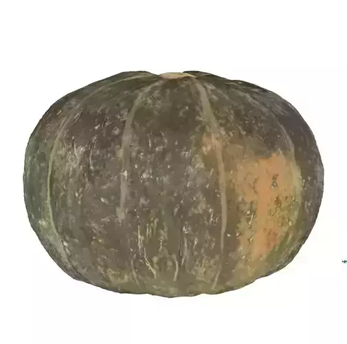 surface melon 3D model
