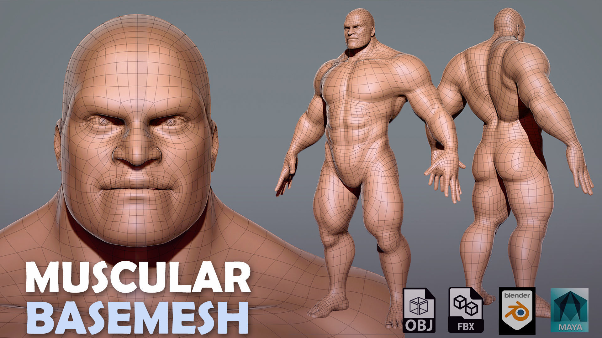 13 BaseMesh Pack Low-poly 3D model_15
