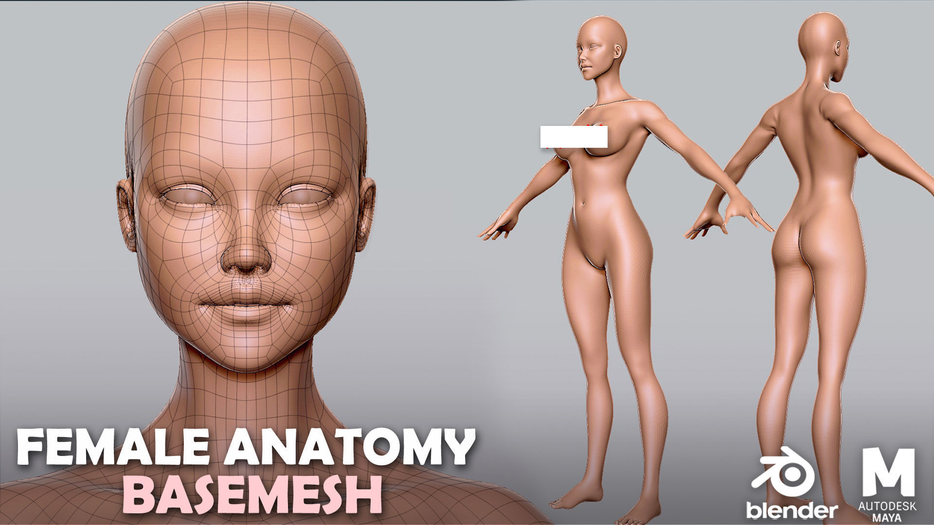 13 BaseMesh Pack Low-poly 3D model_22