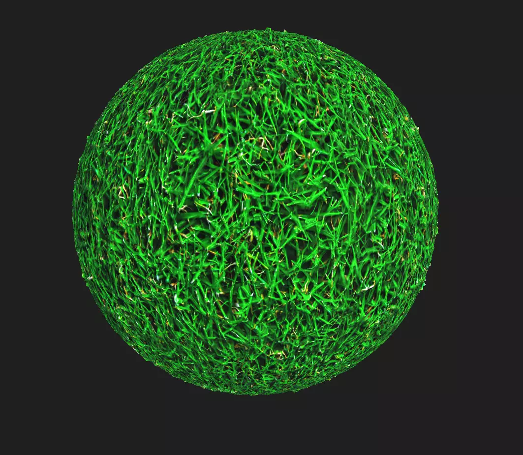 Grass Textures PBR Low-poly 3D model_0