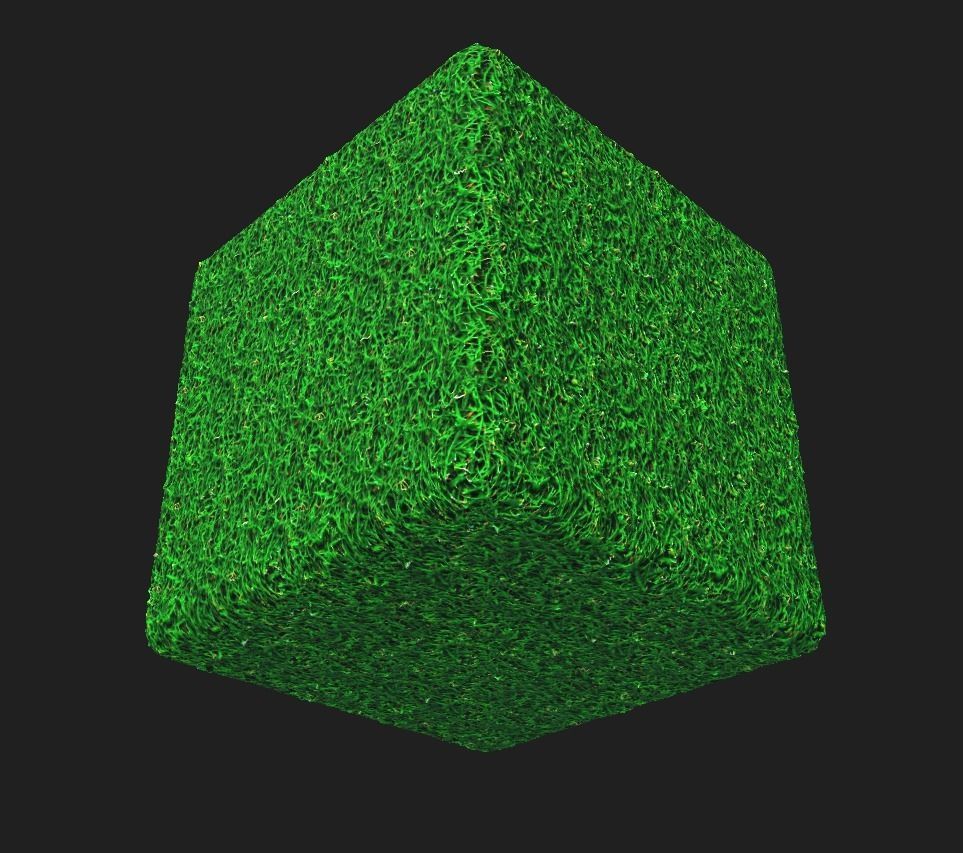 Grass Textures PBR Low-poly 3D model_3