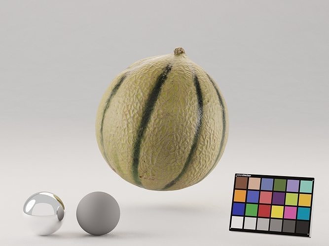 Cantaloupe Melon Photoscan 3D model