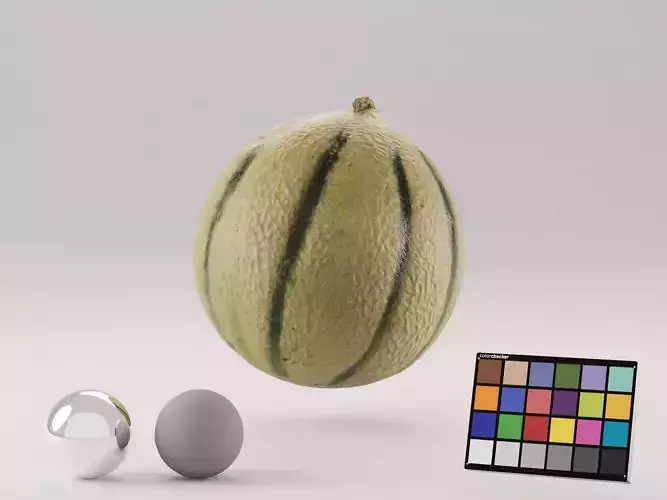 Cantaloupe Melon Photoscan 3D model