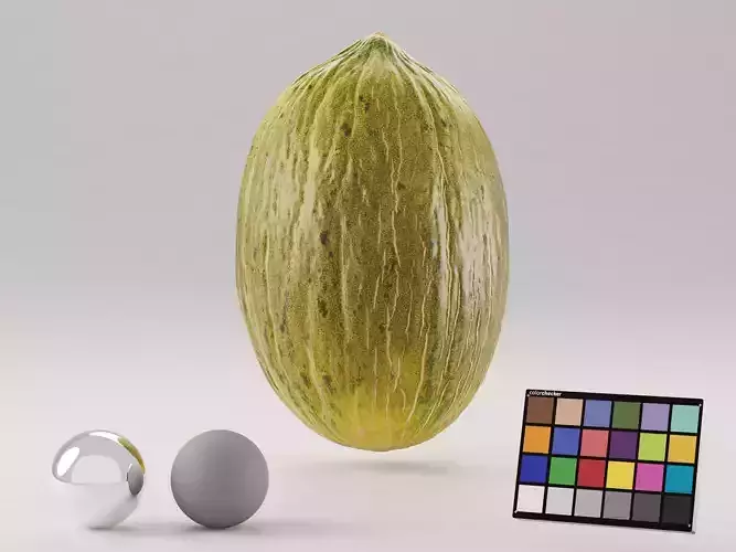 Piel De Sapo Melon Photoscan