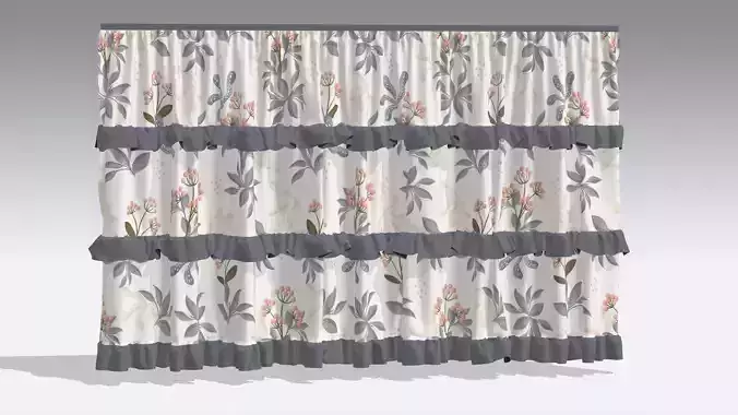 Curtain