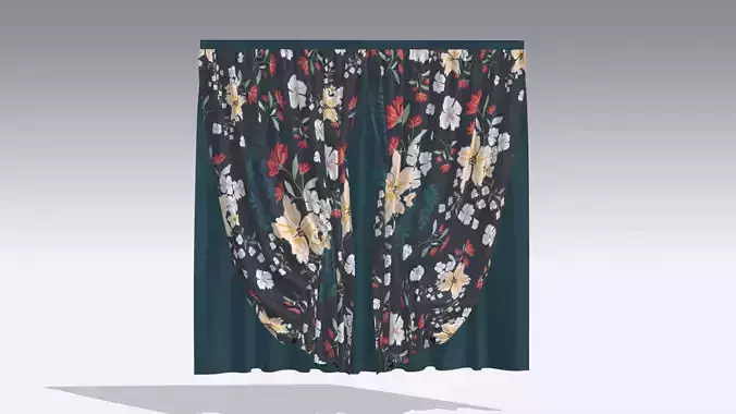 Curtain