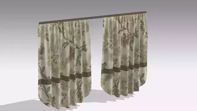 Curtain