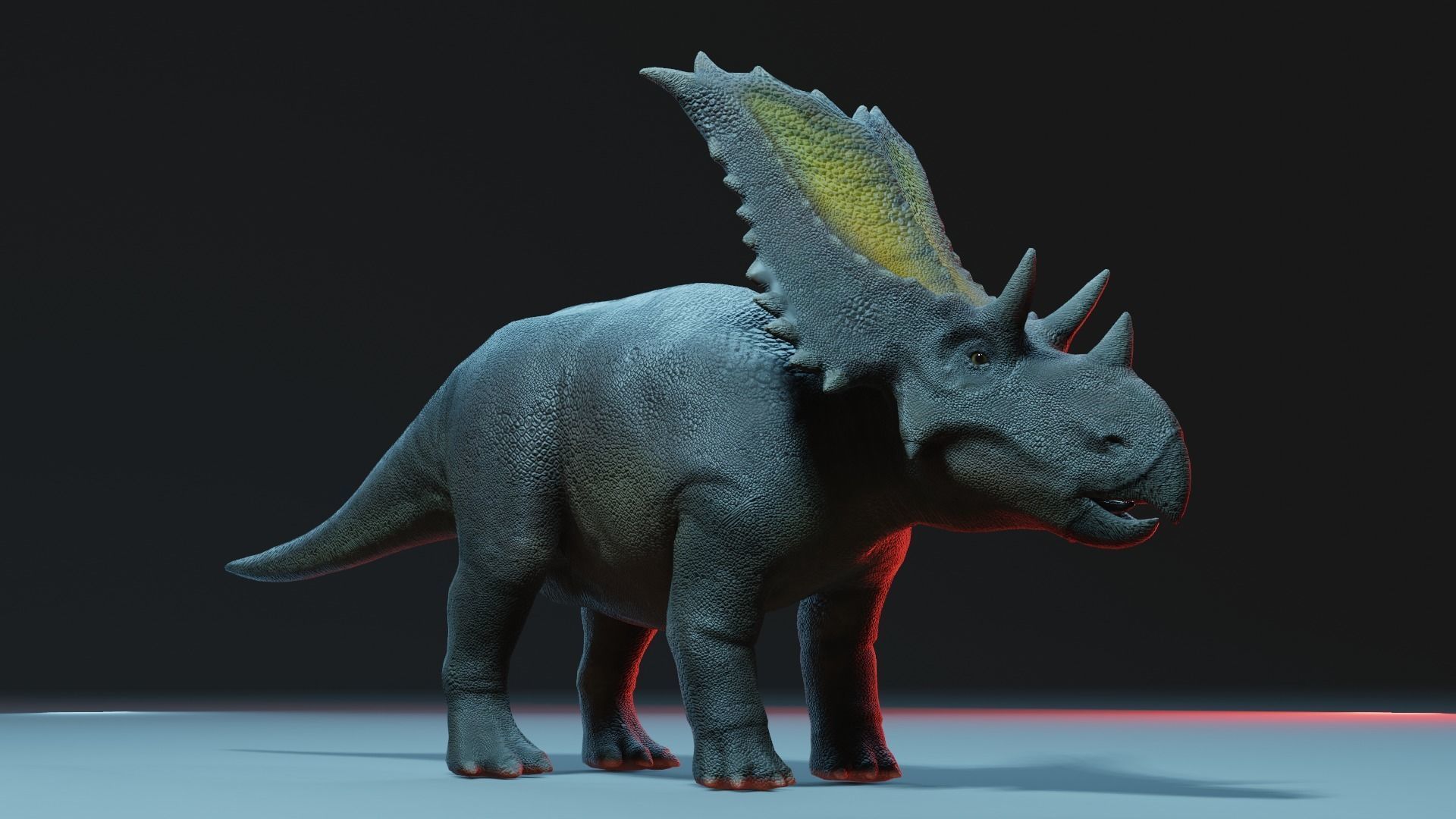 Chasmosaurus 3D Model Low-poly 3D model_2