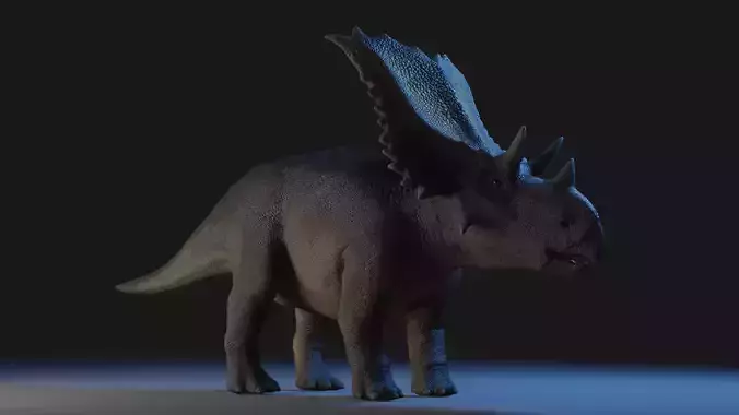 Chasmosaurus 3D Model Low-poly 3D model