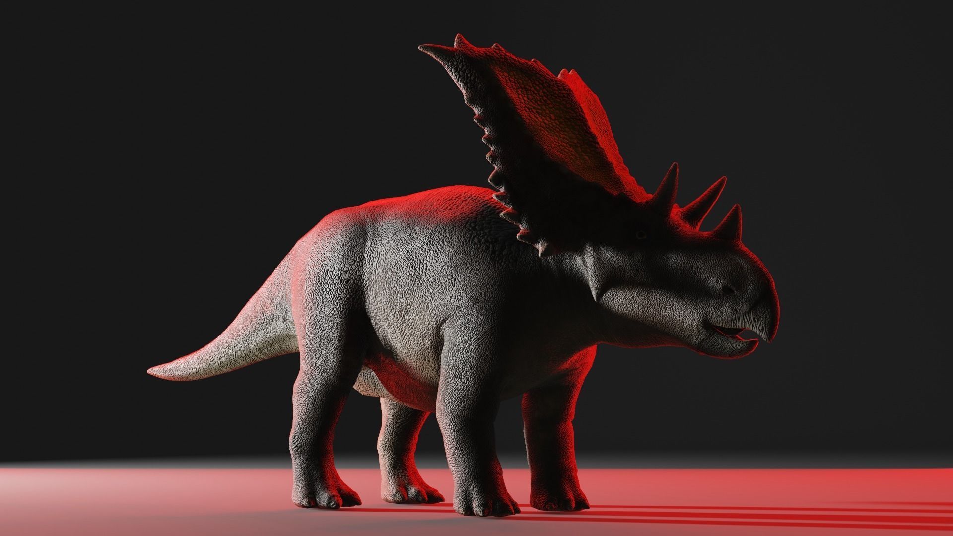 Chasmosaurus 3D Model Low-poly 3D model_1