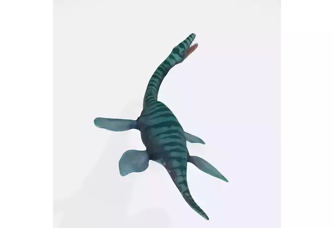 Plesiosaurus 3D Model Ready to Print 3D print model