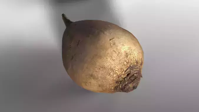 Photoscanned Beetroot