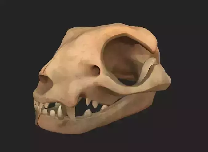 Stylized Cat Skull 